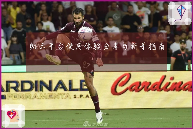 凯云平台使用体验分享与新手指南