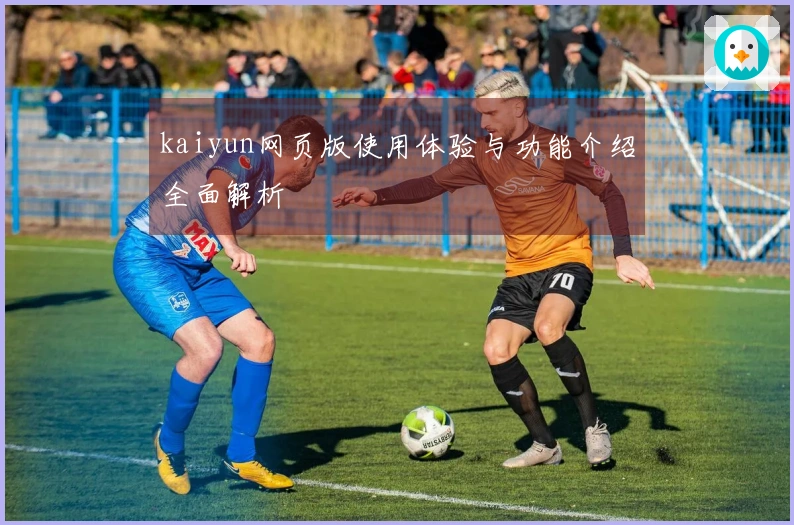kaiyun网页版使用体验与功能介绍全面解析