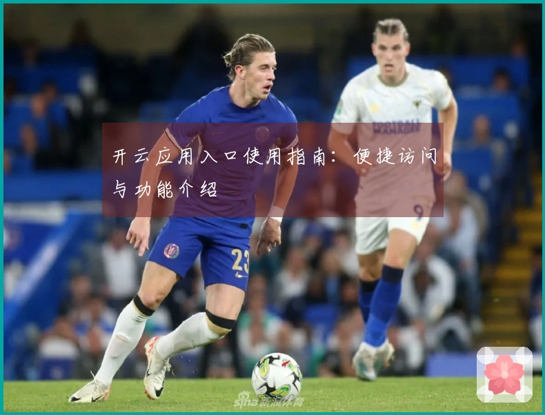 开云应用入口使用指南：便捷访问与功能介绍