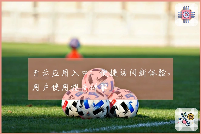 开云应用入口：便捷访问新体验，用户使用指南详解